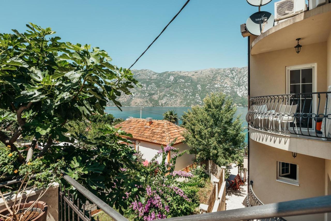Apartments Cosovic Kotor Extérieur photo